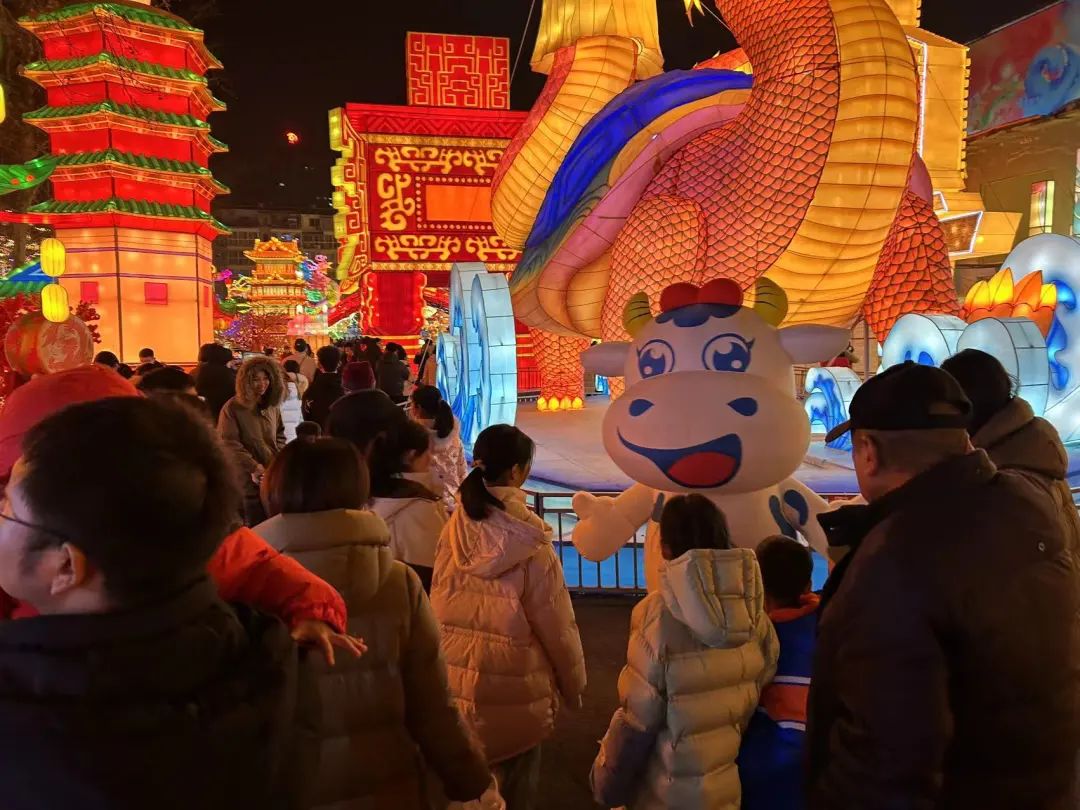 央视直播郑州龙年灯会迎新春，官方网站入口品牌上大分