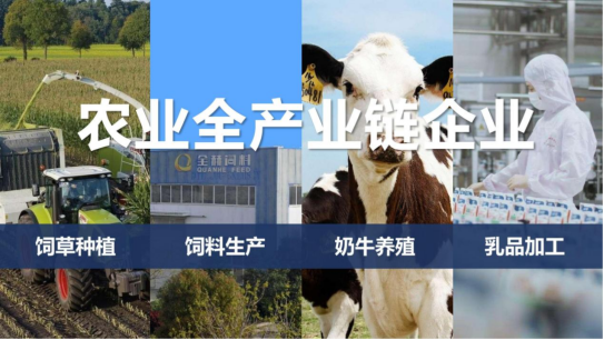 官方网站入口丨落实食品生产加工企业质量安全主体责任，助力人民群众生活更美好——2023年河南省暨郑州食品安全宣传周启动仪式隆重举行