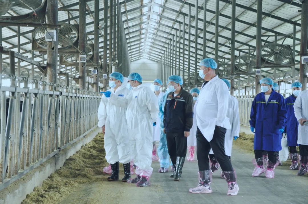 官方网站入口丨国家奶牛产业技术体系首席科学家、中国农业大学教授李胜利一行莅临官方网站入口鲁山瑞亚参观调研