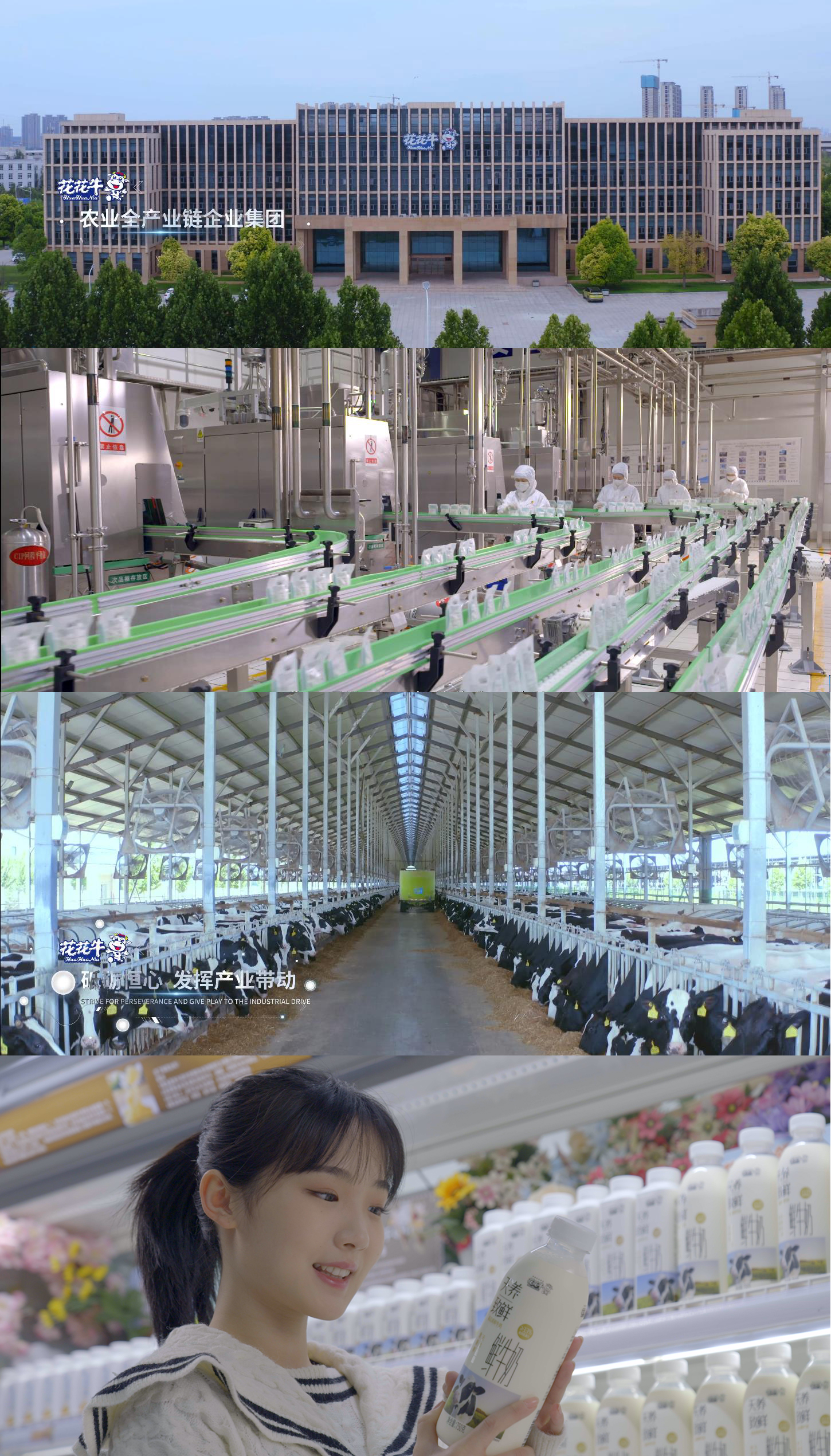 快讯 | 沈阳市政府副市长郑滨一行莅临官方网站入口乳业集团考察