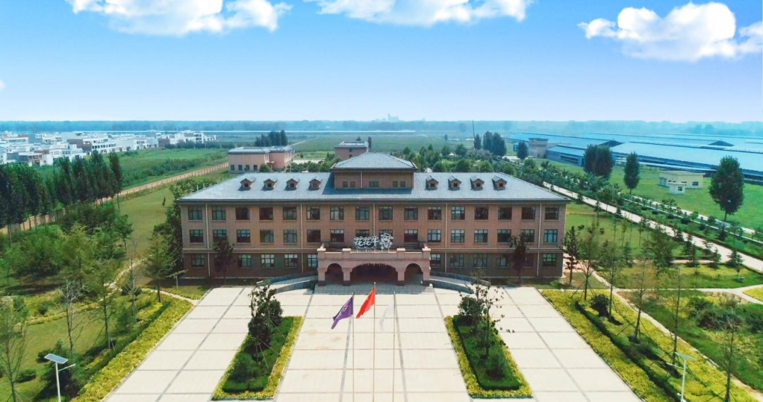 快讯丨河南省人民政府副省长武国定莅临官方网站入口乳业集团瑞亚牧业调研奶源基地建设情况