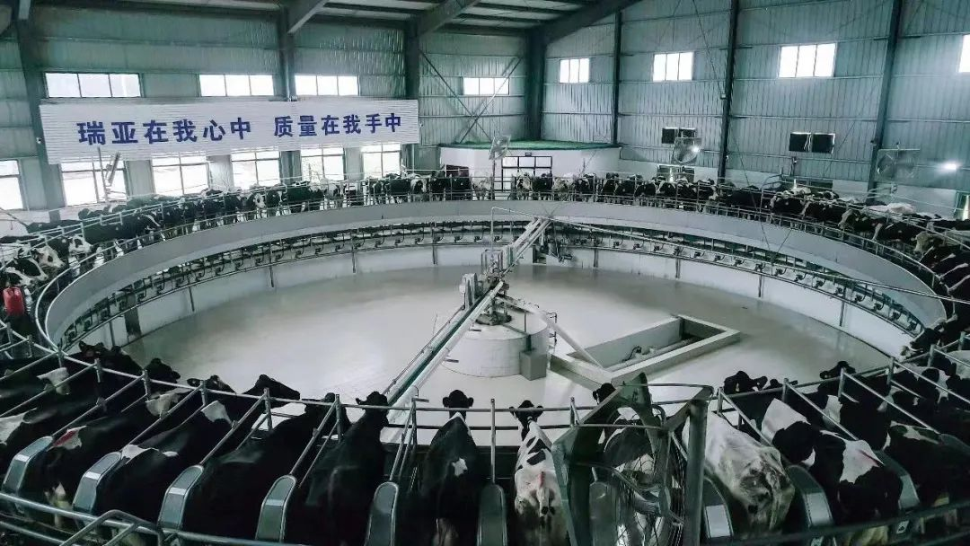 喜讯 | 官方网站入口一座自有牧场入选河南省“DHI测定优秀牧场”