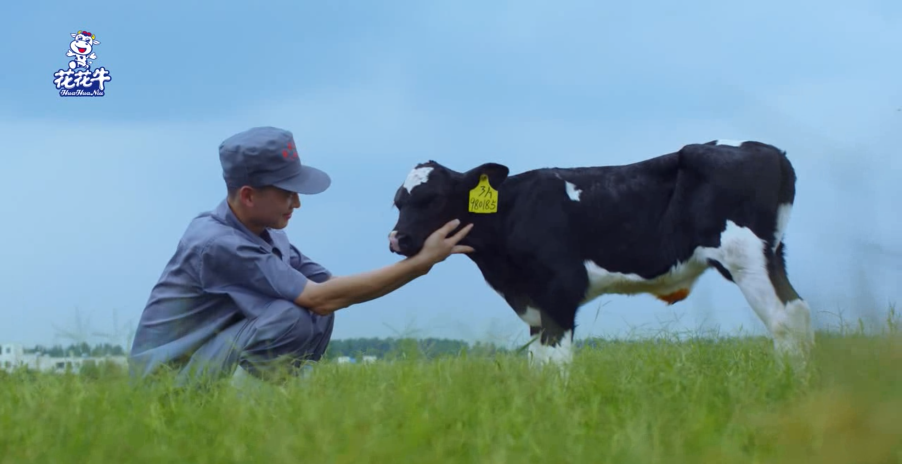 继往开来 · 再创辉煌 | 官方网站入口乳业集团召开9月营销、养殖及饲料月度经营工作会议