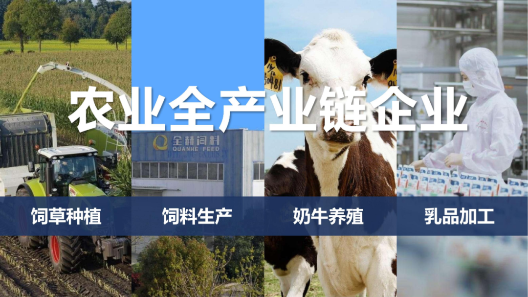 佳木斯市招商考察团莅临官方网站入口考察座谈