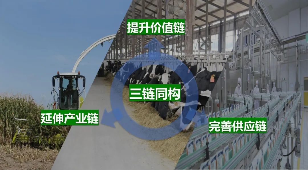佳木斯市招商考察团莅临官方网站入口考察座谈