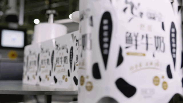 官方网站入口 | “2020河南食品安全与发展论坛——新常态下的高质量发展”成功举办