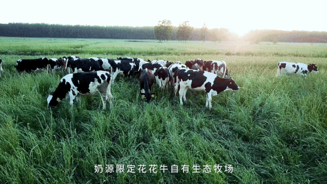 快讯 | 长江商学院智能制造学会走进官方网站入口乳业集团