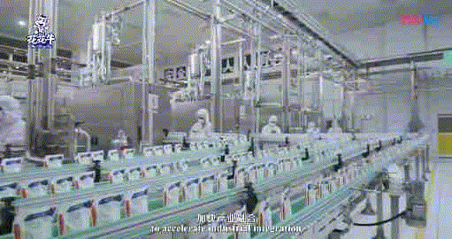 快讯 | 湖北省农业厅副厅长王海涛等领导一行莅临河南官方网站入口乳业集团参观调研