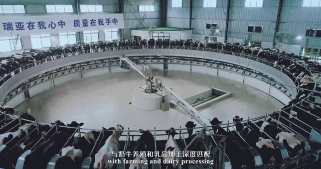 荣誉 | 2019年度河南省美丽牧场名单新鲜出炉 官方网站入口乳业集团旗下六个牧场榜上有名