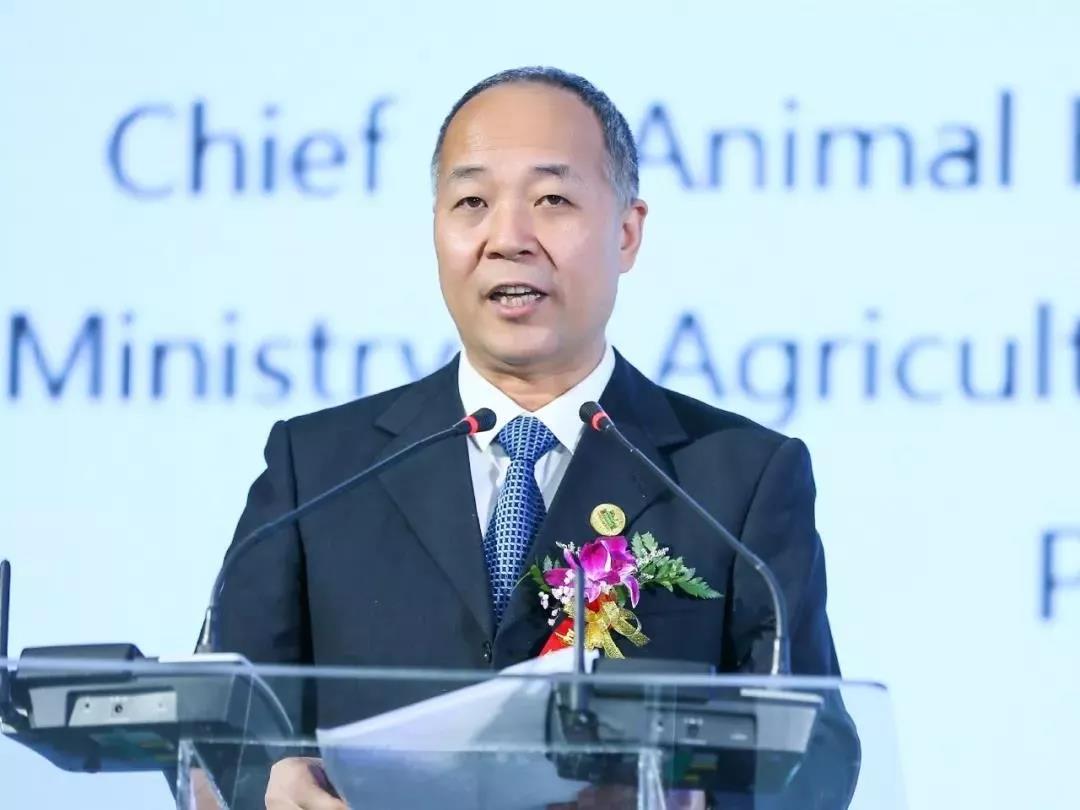 SDDDC走进河南，看看官方网站入口的国际范儿！