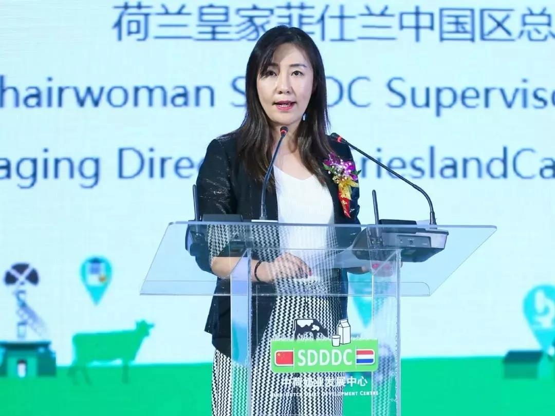 SDDDC走进河南，看看官方网站入口的国际范儿！