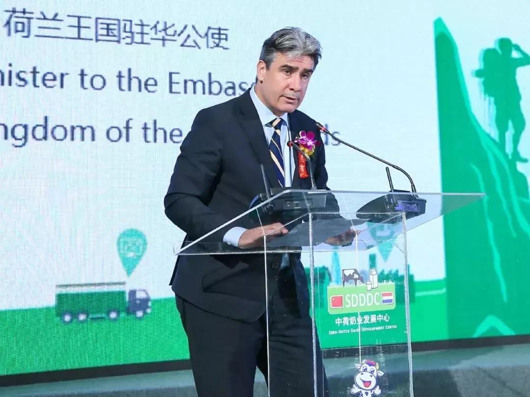 SDDDC走进河南，看看官方网站入口的国际范儿！