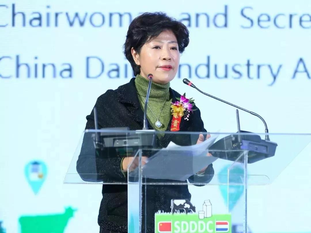 SDDDC走进河南，看看官方网站入口的国际范儿！