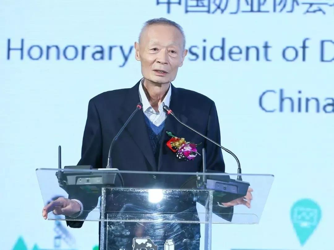 SDDDC走进河南，看看官方网站入口的国际范儿！