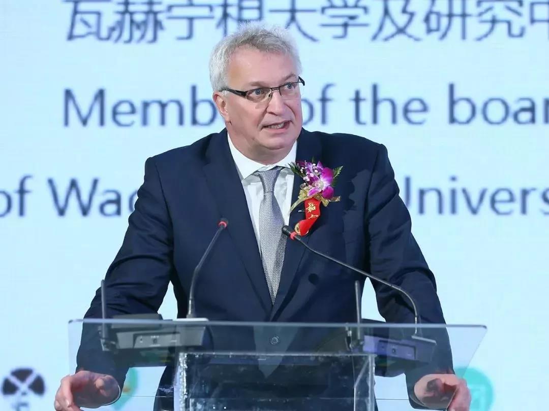 SDDDC走进河南，看看官方网站入口的国际范儿！