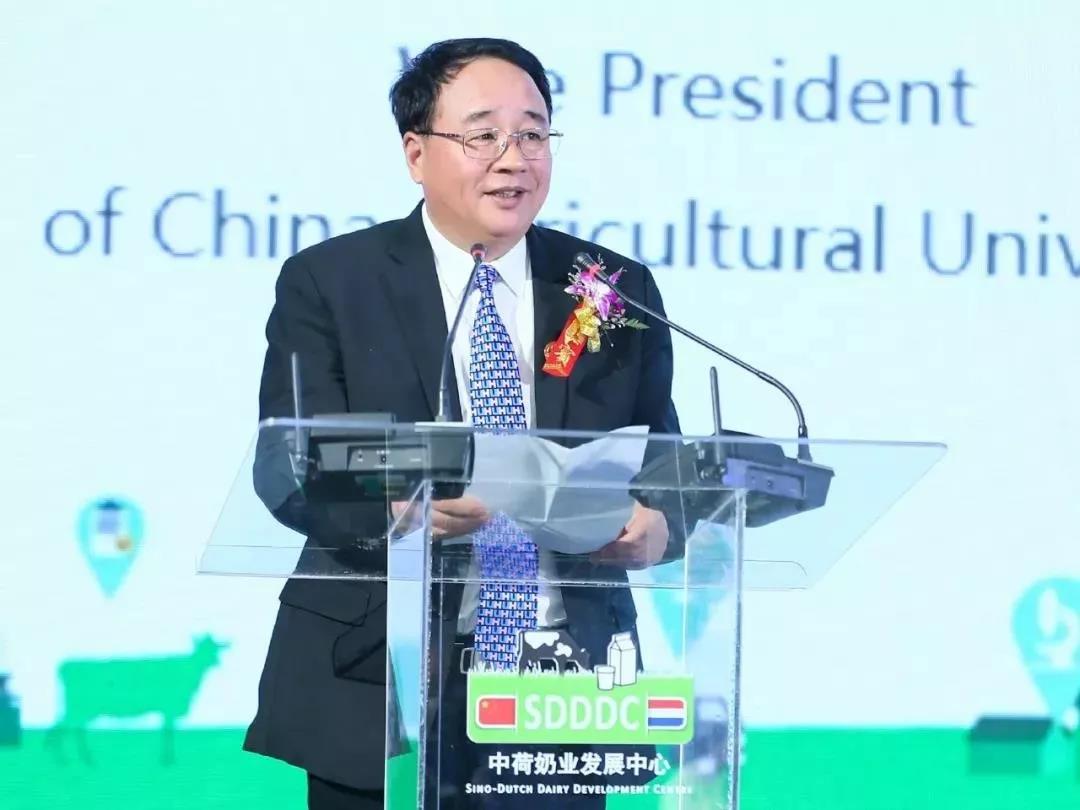 SDDDC走进河南，看看官方网站入口的国际范儿！