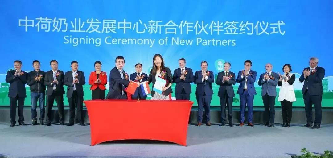 SDDDC走进河南，看看官方网站入口的国际范儿！