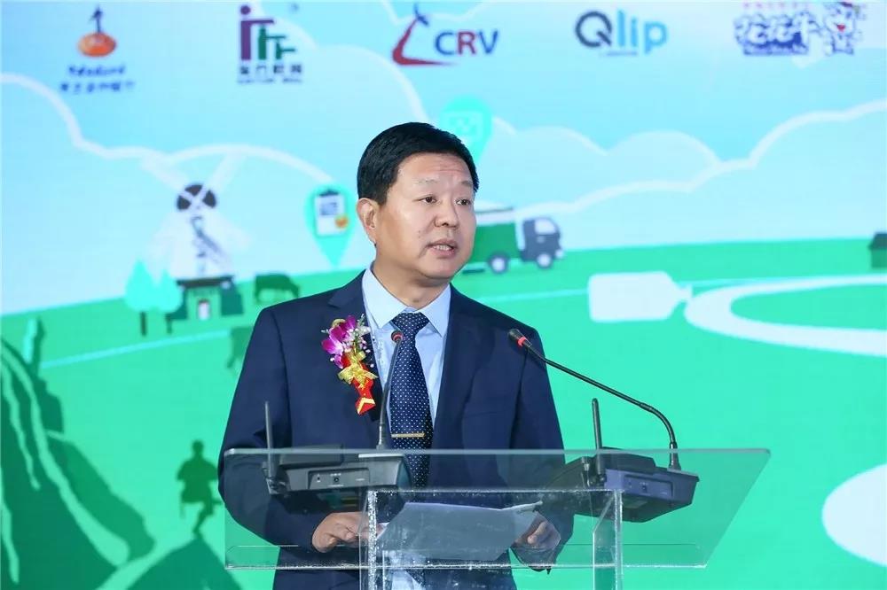 SDDDC走进河南，看看官方网站入口的国际范儿！