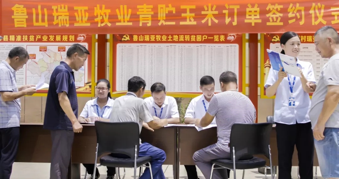 省委书记王国生到河南官方网站入口乳业集团·新蔡瑞亚牧业有限公司调研