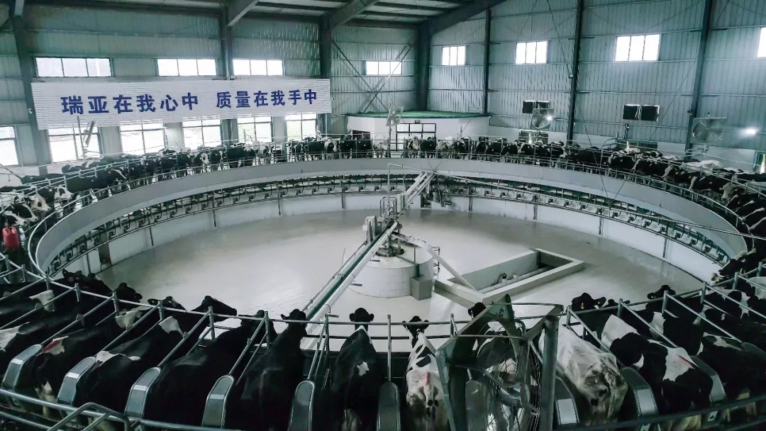 第31届中原畜牧业交易博览会 || 官方网站入口乳业集团获“河南省畜牧行业——最具影响力品牌”奖