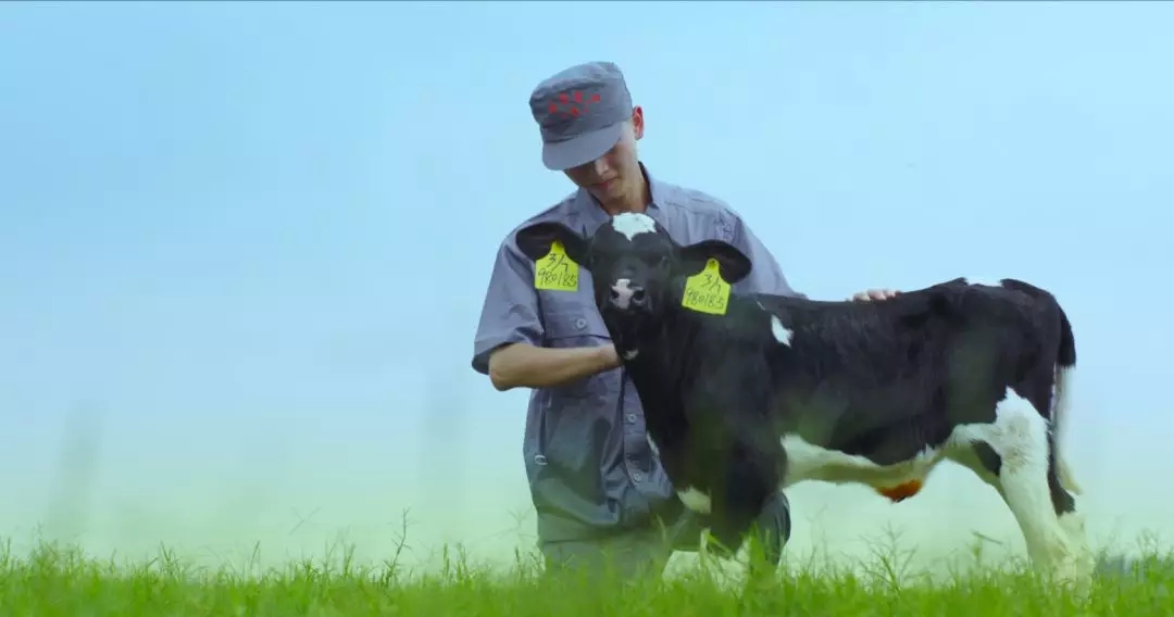喜报 | 国家市场监管总局抽检，官方网站入口等112家企业乳品抽检全部合格