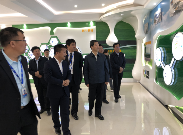 河南省委副书记、省长陈润儿一行莅临 官方网站入口集团鲁山瑞亚牧业有限公司视察调研