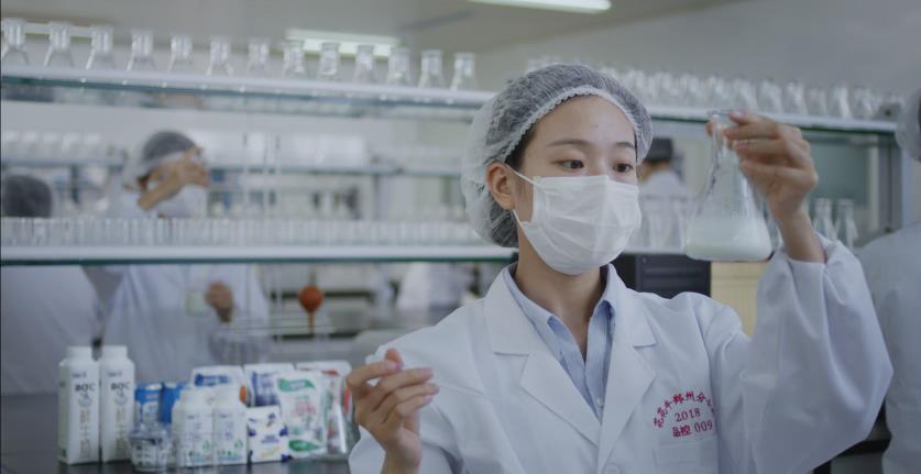 又双叒叕获奖啦！官方网站入口荣获“乳品质量安全管理 优秀企业”