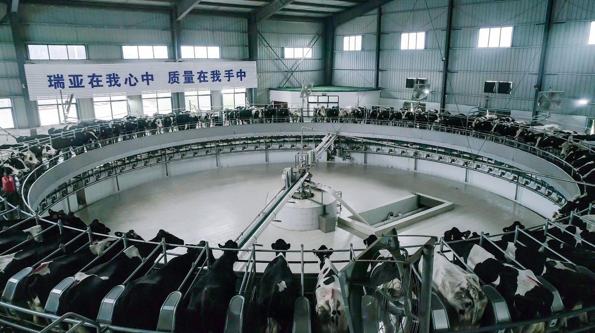 又双叒叕获奖啦！官方网站入口荣获“乳品质量安全管理 优秀企业”