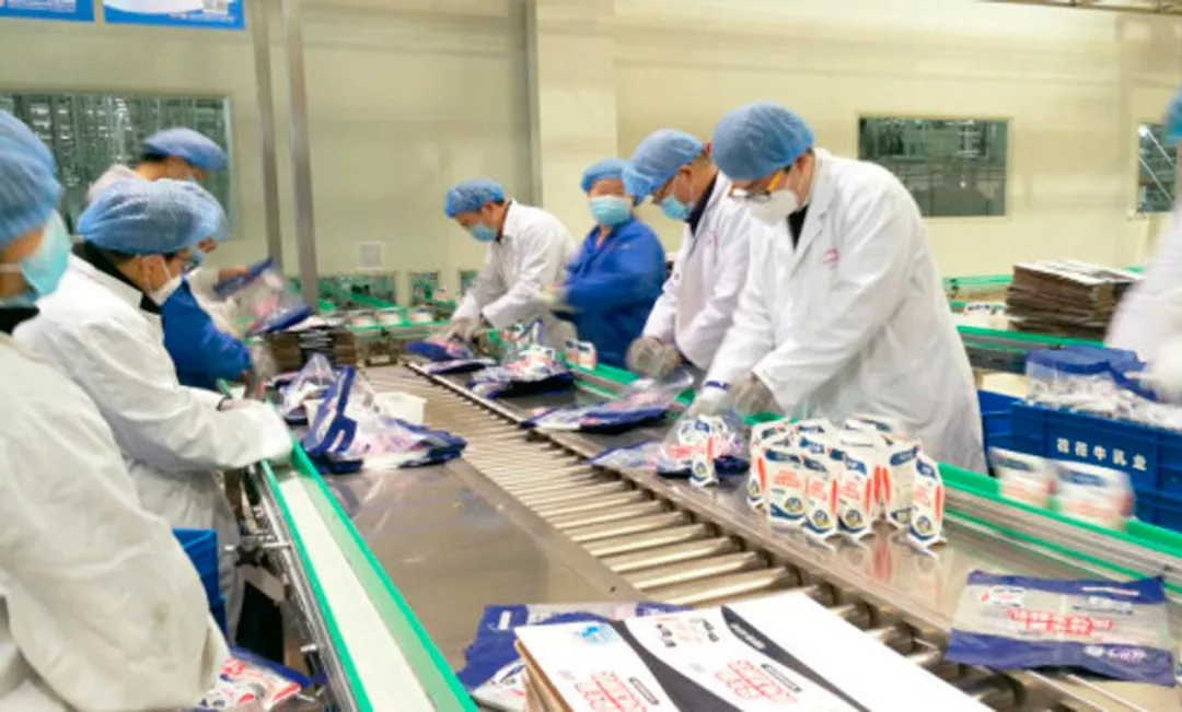 快讯丨河南省副省长武国定莅临官方网站入口乳业集团调研重点保障企业复工复产情况