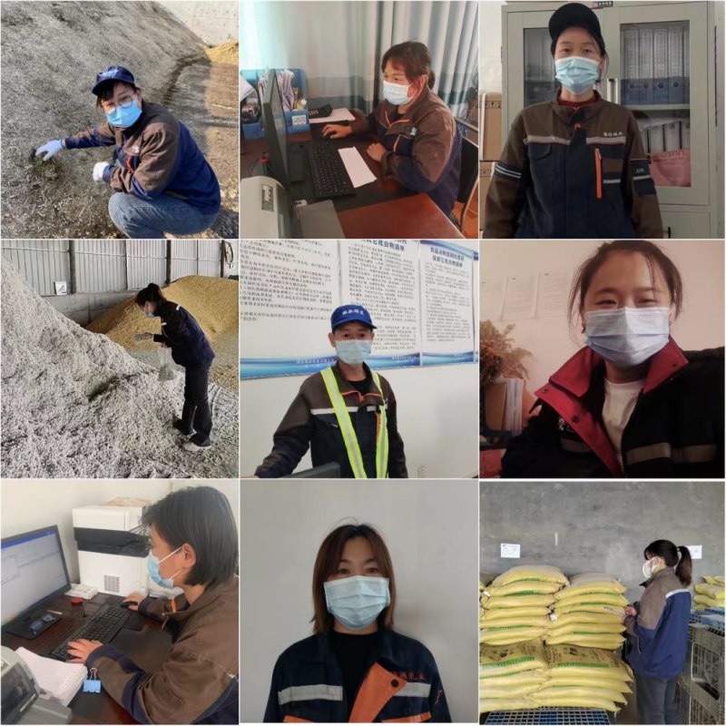 官方网站入口丨点点微光汇星河——养殖事业部抗疫保生产侧记