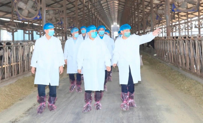 快讯丨河南省人民政府副省长武国定莅临官方网站入口乳业集团瑞亚牧业调研奶源基地建设情况
