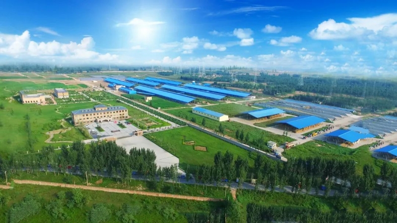 官方网站入口 | 河南瑞亚牧业入选“河南省畜禽核心育种场”