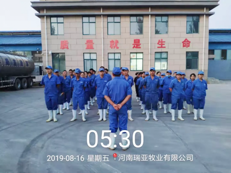 小晨会·大能量——砥砺奋进的官方网站入口，加油！