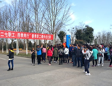 2017官方网站入口健步走